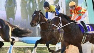 【東京大賞典】武豊「また来年頑張りたい」ノットゥルノは4着敗退