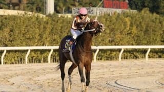 【東京大賞典】御神本「そこそこ手応えよく回ったのですが…」南関三冠馬・ミックファイアが初黒星