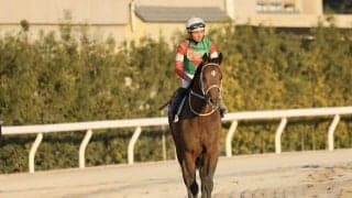 【東京大賞典】岩田望「差のない競馬はしてくれました」キングズソードは5着敗退