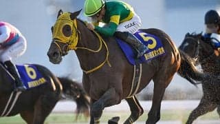 霜降り明星・粗品「今年最後も負けたか。金あらへん」 東京大賞典は3連単勝負もハズレ