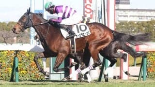 【新馬/阪神5R】サトノダイヤモンド産駒 オーロラエックスが人気に応える