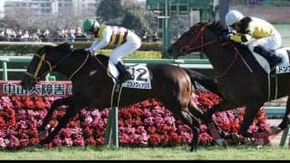 【新馬/中山5R】サトノダイヤモンド産駒 ニシノフィアンスがしぶとく逃げ切る