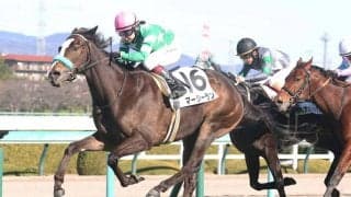 【新馬/阪神6R】河原田菜々騎乗、マーシーランがデビューV