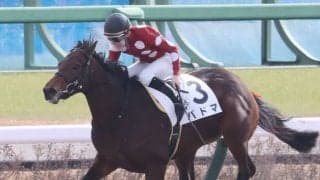 【新馬/中山5R】ドレフォン産駒 パドマが逃げ切りV