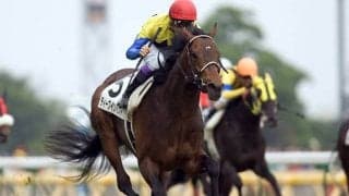 【BMSリーディング】重賞13勝を挙げたディープインパクトが首位に