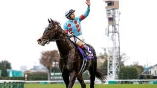 【生産者リーディング】GI・17勝を挙げたノーザンファームが13年連続の1位に