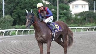 2歳女王決定戦に一発逆転狙えるレース 大みそかも地方競馬は熱き戦い
