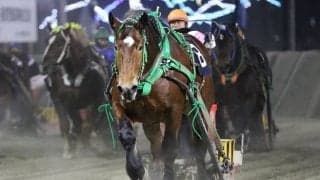 【ばんえい・ヤングチャンピオンシップ】ライジンサン勝利で大河原調教師は重賞初制覇