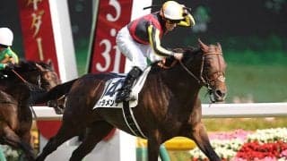 【種牡馬リーディング】ドゥラメンテが首位に 11年連続トップのディープインパクトは3位