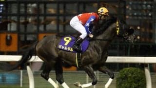 【川崎マイラーズ枠順】年始最初の南関東重賞 4連勝中のギャルダルは3枠3番