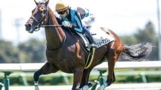 【AI予想・シンザン記念】近況好調馬が強さを見せる3歳限定重賞！ 本命候補は高いポテンシャルを秘める重賞初出走馬