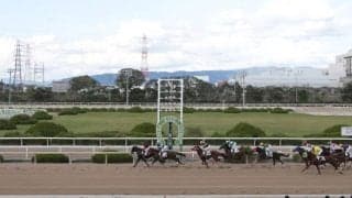 【園田・園田ジュニアC結果】マルカイグアスが重賞初制覇！