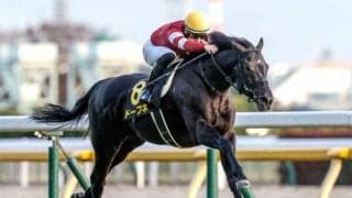 2024年の競馬が開幕！中山金杯・京都金杯など4重賞/今週の競馬界の見どころ