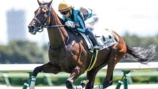 【シンザン記念見どころ】ショーマンフリートの無傷重賞初制覇なるか