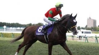 中山金杯想定騎手24頭 マイネルクリソーラはM.デムーロ騎手、ゴールデンハインドは菅原明良騎手