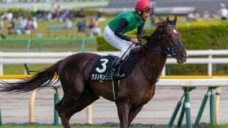 23年の出走回数1位はどの馬？  22年“覇者”のブランデーロックは…/JRA珍リーディング