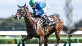 フェアリーS想定騎手18頭 キャットファイトは坂井瑠星騎手、スティールブルーはC.ルメール騎手