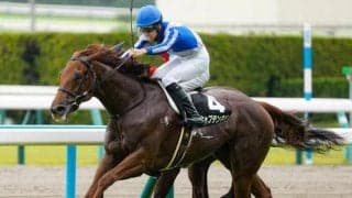 昨年リーディングの杉山晴紀厩舎 フェアリーSで新年早速の重賞V狙う