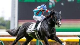 【中山金杯展望】JRA重賞戦線の幕開け、GI戦線で活躍する馬も輩出