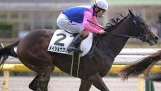 高柳“父子”タッグで重賞Vなるか フェアリーSにメイショウヨゾラ出走