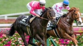 豪州のトップ女性ジョッキー・R.キング騎手 中山金杯でJRA重賞初制覇なるか