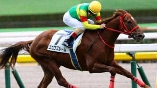 C.ルメール騎手がシンザン記念4年ぶり3勝目へ 前走で上がり33.2記録の素質馬で勝負