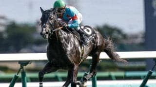 【中山金杯予想オッズ】エピファニーが予想1番人気