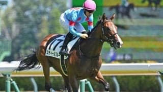 【フェアリーS予想オッズ】スティールブルーが予想1番人気