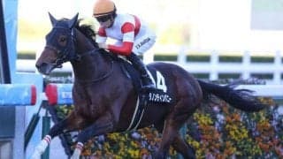 【京都金杯予想オッズ】ダノンティンパニーが予想1番人気