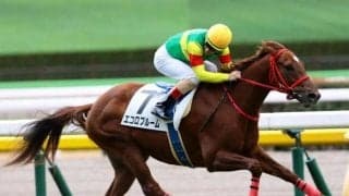 【シンザン記念予想オッズ】エコロブルームが予想1番人気