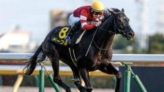 【京都金杯展望】波乱必至のハンデ戦も軸は前走がオープン特別の馬