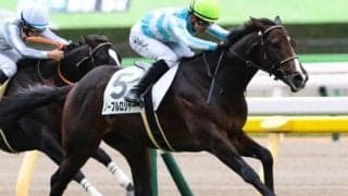 同牝系に快足サイレンススズカ  ノーブルロジャーがシンザン記念で重賞Vなるか