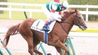 ルージュバック＆ポタジェに続け シンザン記念で3きょうだい重賞V狙う