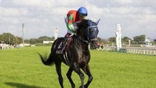 【中山金杯予想】AIが推奨したのは超人気薄!? 内枠を引けば激走も…