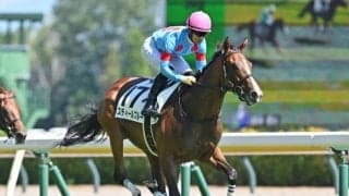 【フェアリーS展望】好走傾向にマッチするスティールブルーに注目