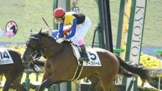  【シンザン記念展望】好走条件にマッチするケーブパールの巻き返しを期待