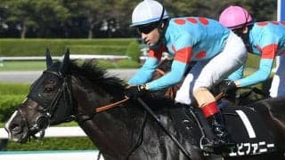 【中山金杯出走馬・騎手確定】エピファニー＆R.ピーヒュレク騎手、マテンロウレオ＆横山典弘騎手など17頭