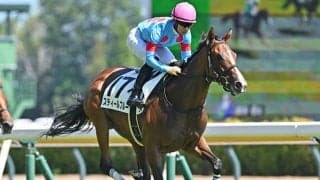 【フェアリーS出走馬・騎手確定】スティールブルー＆C.ルメール騎手、キャットファイト＆坂井瑠星騎手など14頭