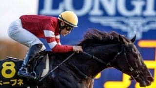 【京都金杯・調教後馬体重】ドーブネは484kg、トゥードジボンは492kg