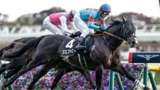 【中山金杯・調教後馬体重】エピファニーは510kg、マイネルクリソーラは458kg