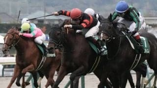 ホウオウエミーズの競走馬登録抹消