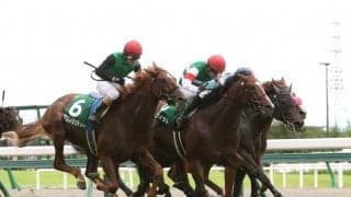 グルーヴィットが競走馬登録抹消