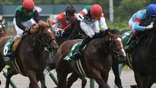 19年中京記念の覇者グルーヴィットが登録抹消 今後は乗馬に