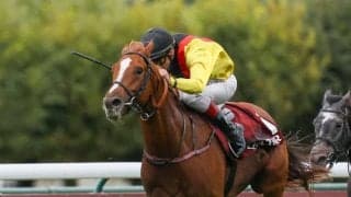 凱旋門賞ジョッキー・ピーヒュレクなど外国人5人が参戦