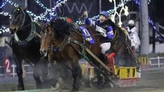 【ばんえい十勝】金田勇調教師が地方通算1500勝を達成…「1勝の重みを感じた」