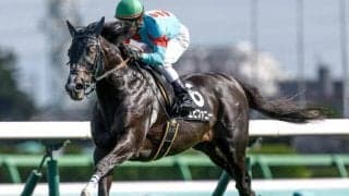 【中山金杯枠順確定】エピファニーは2枠4番、マイネルクリソーラは8枠15番