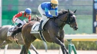 【フェアリーS枠順確定】スティールブルーは4枠6番、キャットファイトは6枠9番