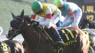 【京都金杯予想】ハンデ重賞で人気薄の激走が目立つ難解な一戦！ 波乱が起こる様々な要因とは