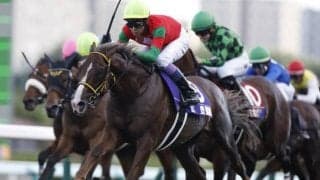 【中山金杯予想】狙いは前走好走馬？ 馬体重が明暗を分けるハンデ重賞