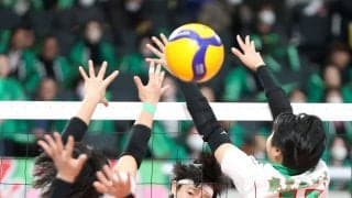 春高バレー、習志野男女そろって初戦突破